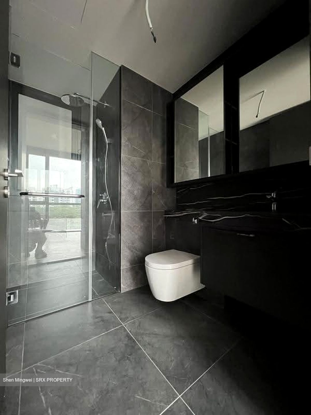 Hyll On Holland (D10), Condominium #611908761